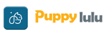 Dog plush toys company